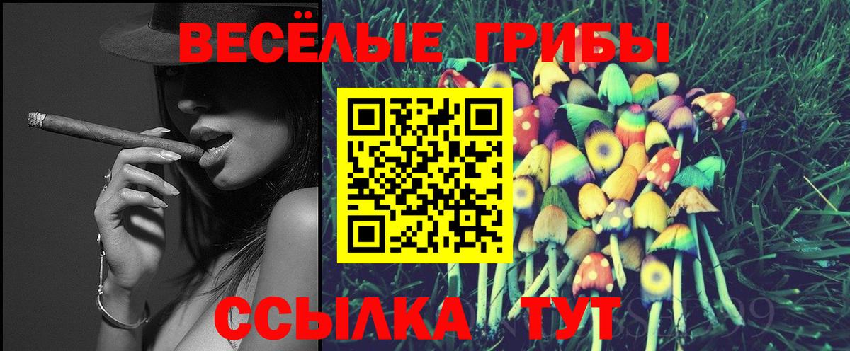 Галлюциногенные грибы Psilocybe Полысаево