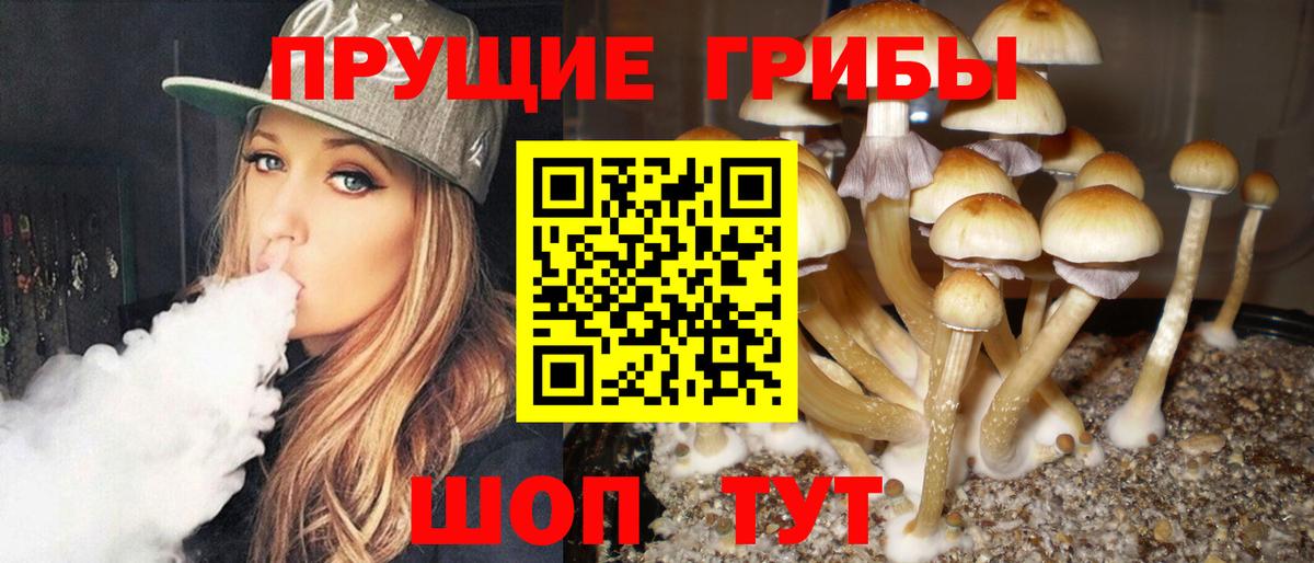 Галлюциногенные грибы мухоморы  Галлюциногенные грибы прущие грибы  Вход с VPN  где найти наркотики  Полысаево 